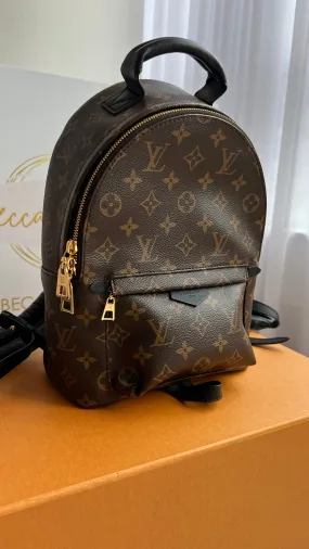 Louis Vuitton Palm Springs Bag