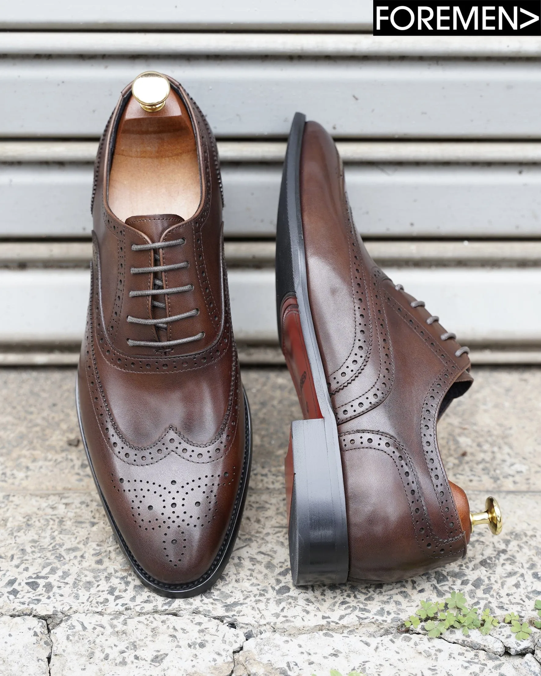 ZARANA | Brown Brogue Oxfords